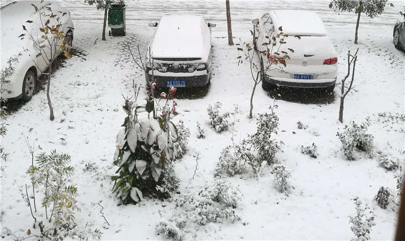 蘇浙滬8省暴雪預(yù)警，至尊卡爾用戶請注意
